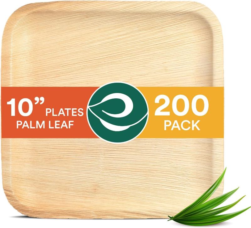 Photo 1 of ****USED*** ECO SOUL Compostable 10 Inch Palm Leaf Square Plates (200 Count) Like Bamboo Plates | Biodegradable | Eco-Friendly, Microwave & Oven Safe