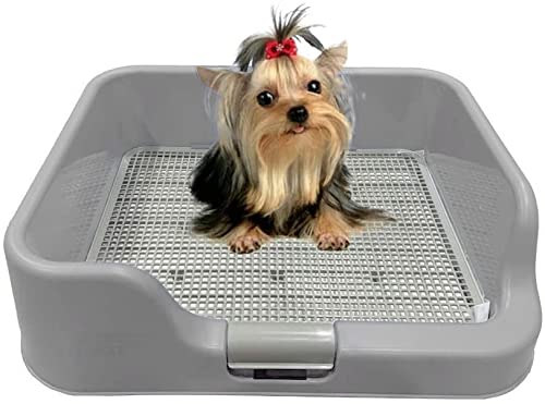 Photo 1 of [DOGCHARGE] INDOOR DOG POTTY TRAY – WITH PROTECTION WALL EVERY SIDE FOR NO LEAK, SPILL, ACCIDENT - KEEP PAWS DRY AND FLOORS CLEAN (TRAY ONLY, GREY) TRAY ONLY GREY
