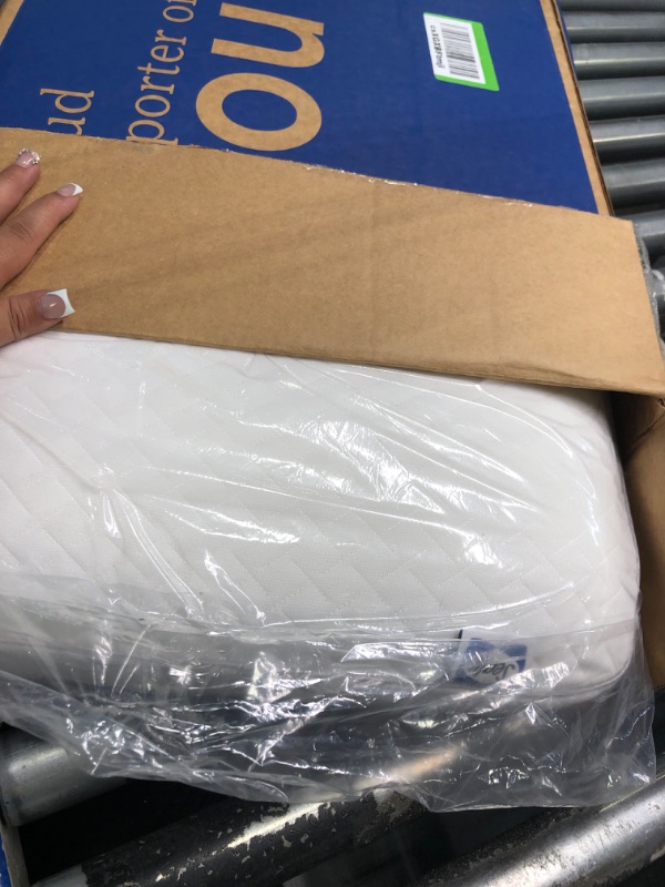 Photo 1 of 1 sealy pillow memory foam