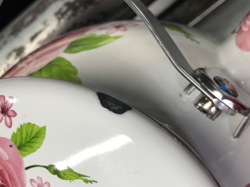 Photo 4 of ***DAMAGED - ENAMEL CHIPPED - SEE PICTURES***
Hiceeden 2.6 Quart Enamel Tea Pot for Stovetop, Pink Vintage Tea Kettle with Floral Pattern, 2.5 L Delicate Cute Steel Water Kettle Pot with Porcelain Handle