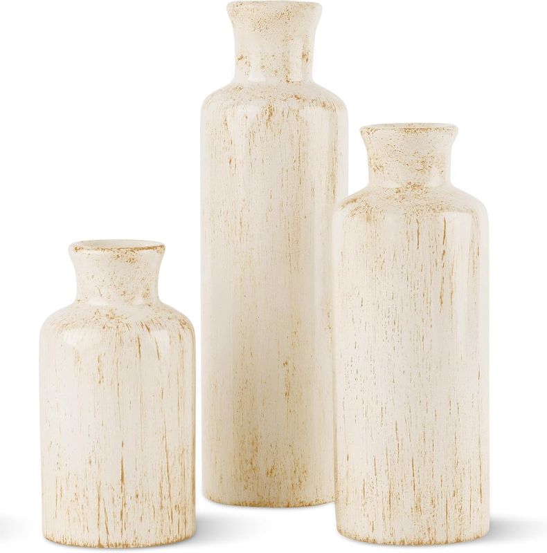 Photo 1 of **DAMAGED** Vase Set - Vases for Decor, Perfect for Holding Pampas Grass, Dried/Fresh Flowers, Vases for Your Kitchen, Bedroom, Office, Living Room, Bathroom, or Shelf Decor (Rustic Luxe)