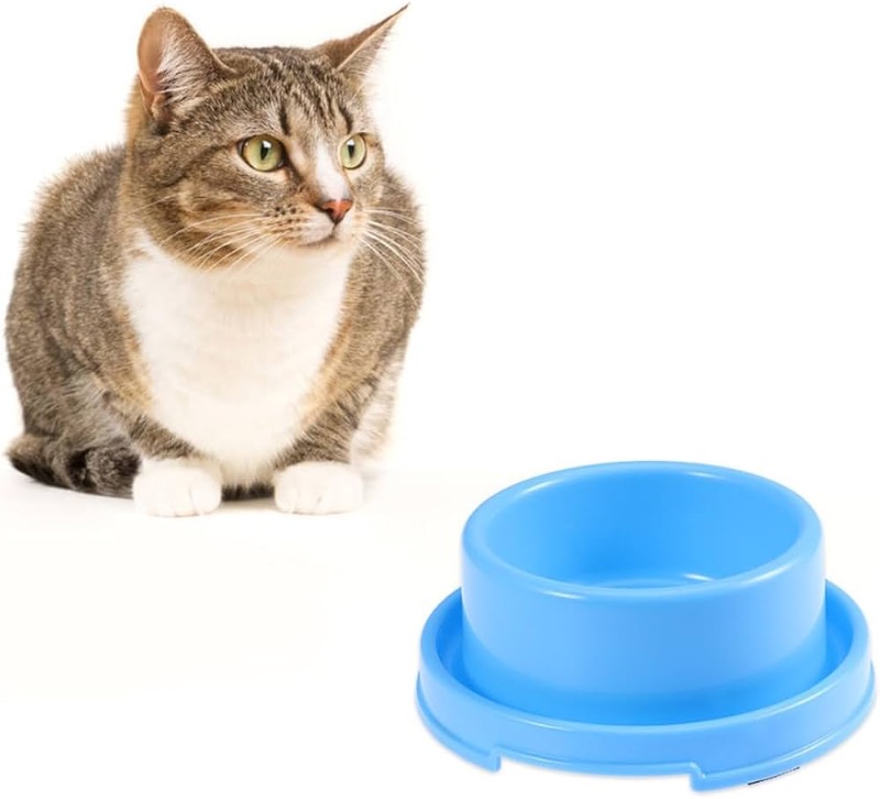 Photo 1 of  No Spill Cat Food Bowl,