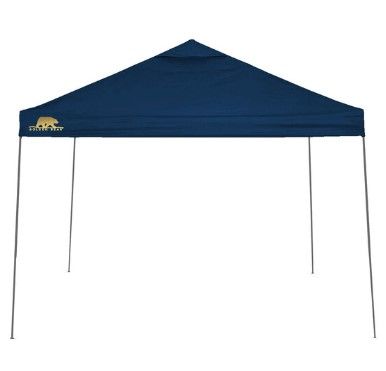 Photo 1 of ****DIRTY****
Golden Bear Coronado 10'x10' Straight-Leg Canopy
