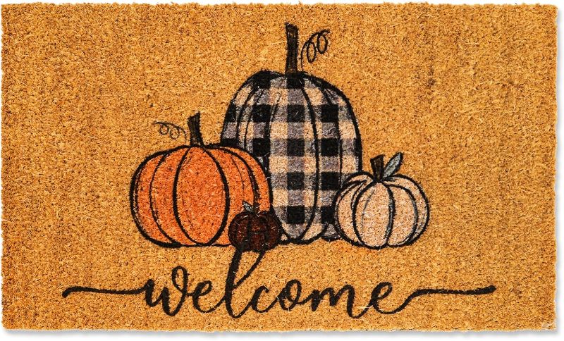 Photo 1 of 
Whaline Fall Door Mats Natural Coir Welcome Doormat Pumpkin Non Slip Farmhouse Rectangle Front Door Rugs Floor Mat for Outdoor Entrance Porch Decor, 16 x