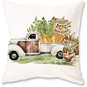 Photo 1 of 1Pc ONWAY Easter Throw Pillow Cover 20x20 Inch Spring Farmhouse Bunny Truck Carrots Rabbit Decor Spring Outdoor Decorative Throw Cushion 