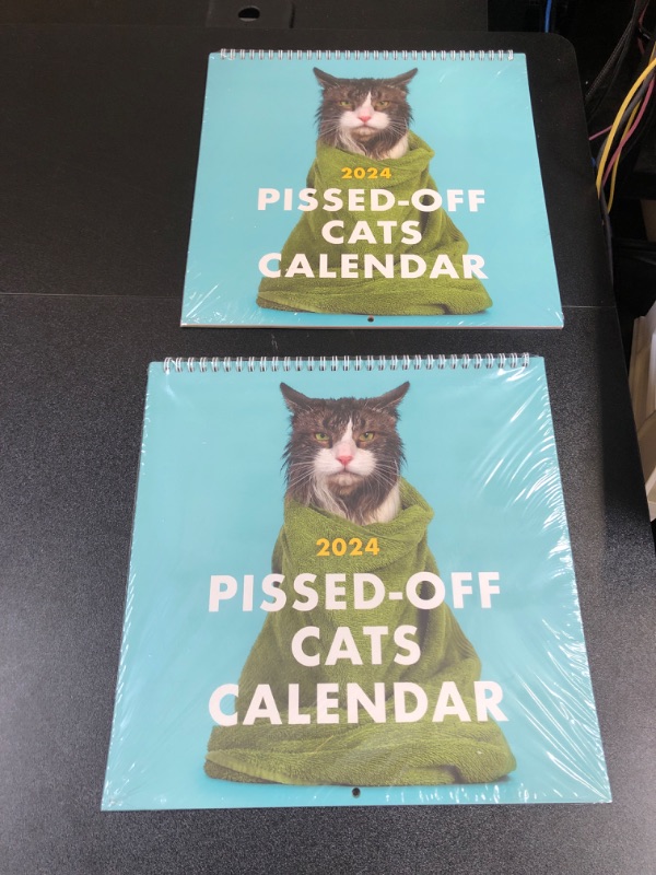 Photo 2 of 2024 Pissed-Off Cats Calendar - Funny, Sassy Holiday Gift for Cat lovers - 12 Month Planner for Joke Christmas Present 2 PACK 