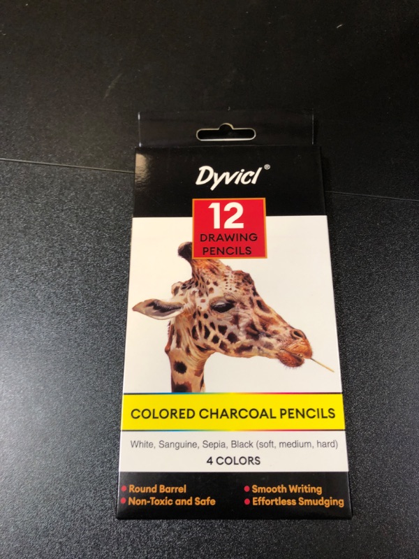 Photo 2 of Dyvicl Colored Charcoal Pencils Drawing Set, 12 Pieces Black White Charcoal Pencils for Drawing, Sketching, Shading, Blending, Pastel Chalk Pencils for Beginners and Artists
