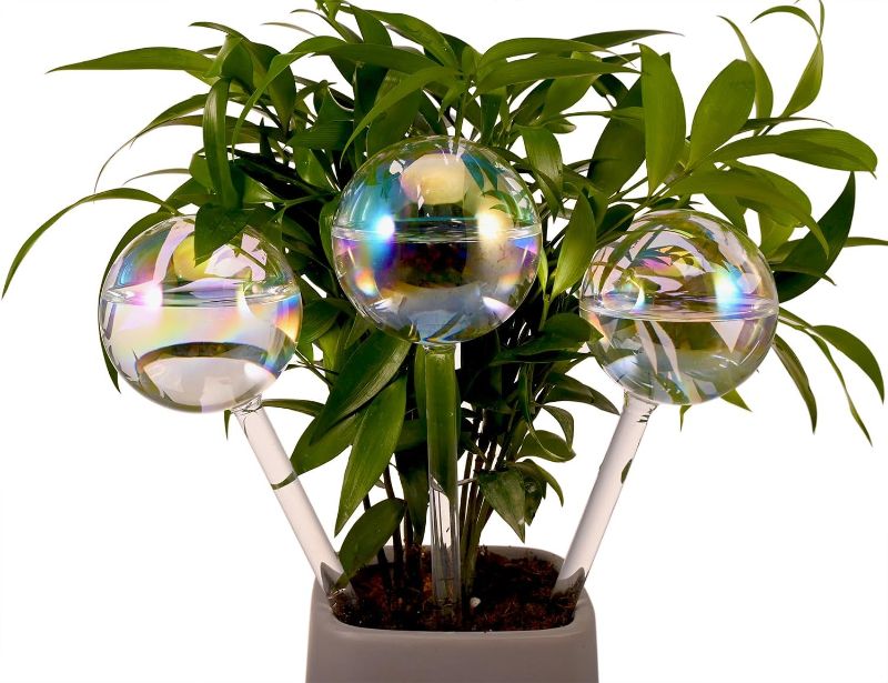 Photo 1 of Ahhute 3 Pack Plant Watering Globes - Iridescent Rainbow Gradient Color Glass Watering Globes - Watering Bulbs for Outdoor Plants Indoor Plants - Plant Self Watering Devices
