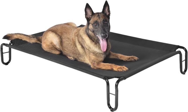 Photo 1 of Elevated Dog Bed  for Small Dogs ***stock photo similar item***