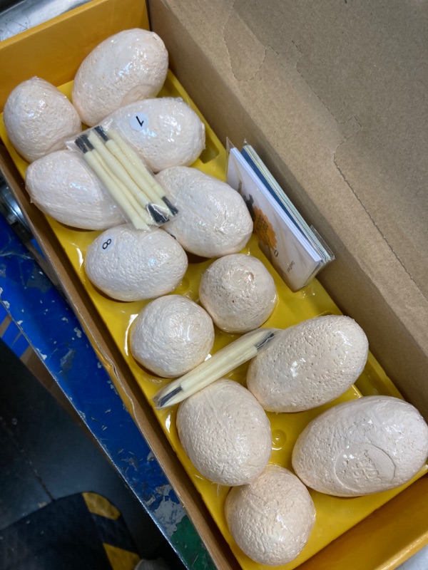 Photo 1 of Dig a Dozen Dino Egg Dig Kit - Egg Dinosaur Toys for Kids 3-12 Year Old - 12 Easter Eggs & Surprise Dinosaurs. Science STEM Activities - Educational Boy Toy Party Gifts for Boys & Girls Ages 3-5 5-7