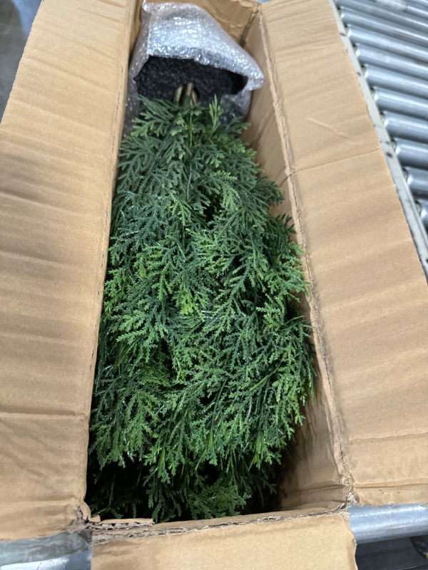 Photo 1 of Nearly Natural 6880 2’ Cedar Artificial Bush (Indoor/Outdoor), Green & 3ft. Mini Cedar Pine Tree (Indoor/Outdoor) Bush + Cedar Pine Tree, 3'