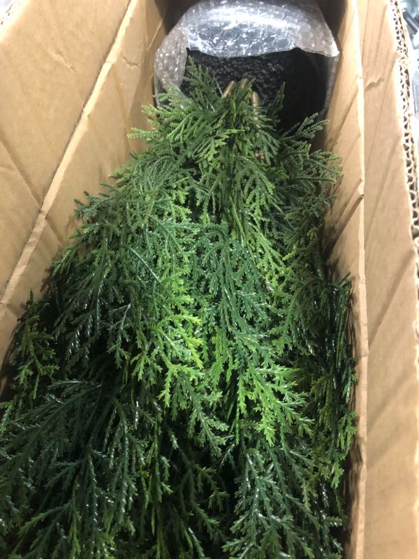 Photo 1 of Nearly Natural 6880 2’ Cedar Artificial Bush (Indoor/Outdoor), Green & 3ft. Mini Cedar Pine Tree (Indoor/Outdoor) Bush + Cedar Pine Tree, 3'