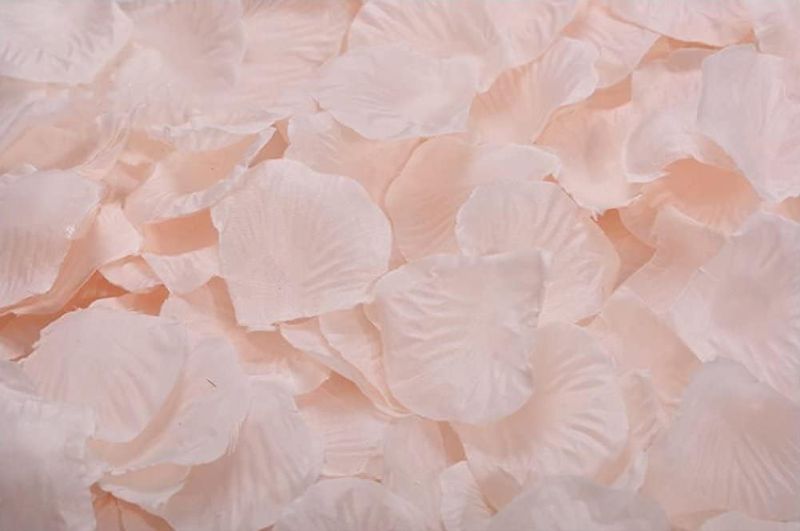 Photo 1 of 1000pcs Rose Petals Artificial Silk Flower Rose Petals for Wedding Decorations, Romantic Night, Valentine's Day, Parties, Events (Champagne Like Pink)