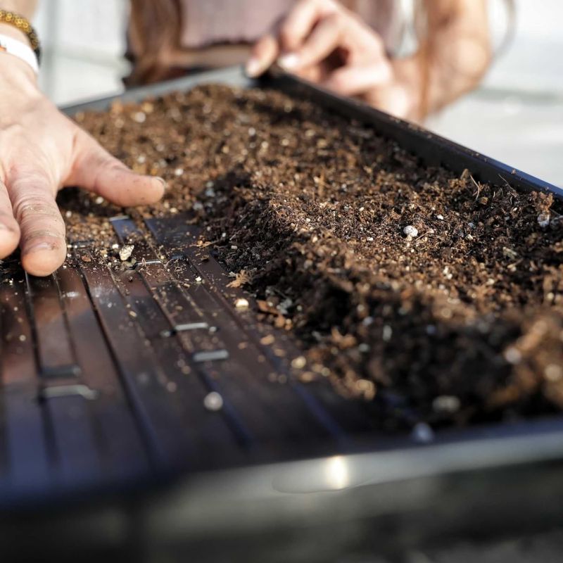 Photo 1 of 1020 Trays- Heavy Duty No Holes, 100 Pack, for Propagation Seed Starter, Plant Germination, Seedlings, Microgreens