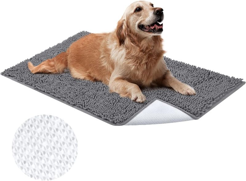 Photo 1 of HOMEIDEAS Absorbent Door Mat, Chenille Soft Washable Dog Welcome Rug for Entryway, Front Muddy Doormat