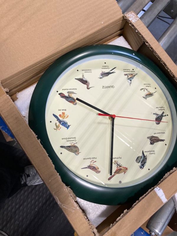 Photo 1 of 13 Inch Singing Bird Wall Clock Light Sensor Bird Clock That Sings on Hour (Green)