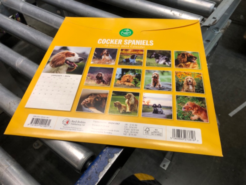 Photo 1 of 2024 Square Wall Calendar, Cocker Spaniels, 16-Month Paw Prints Theme with 180 Reminder Stickers (12 x 12 In)
