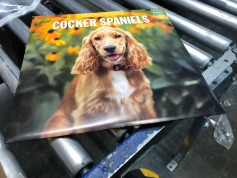 Photo 1 of 2024 Square Wall Calendar, Cocker Spaniels, 16-Month Paw Prints Theme with 180 Reminder Stickers (12 x 12 In)
