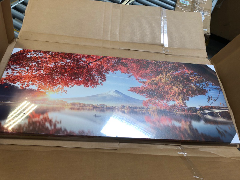 Photo 1 of 20"x48" Framed Portrait