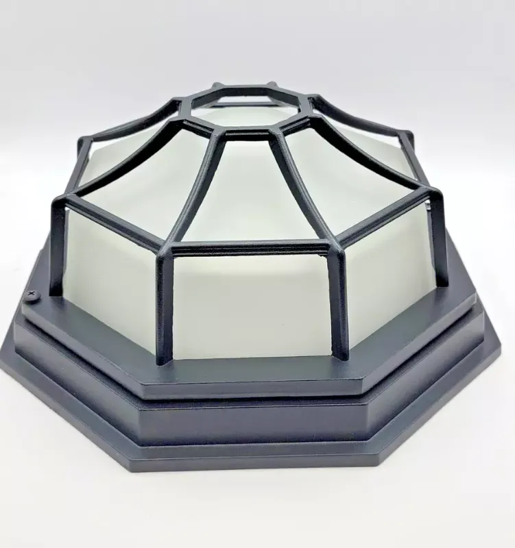 Photo 1 of Cattleya Ceiling Light Fixture Octagonal LED Dome Light Black