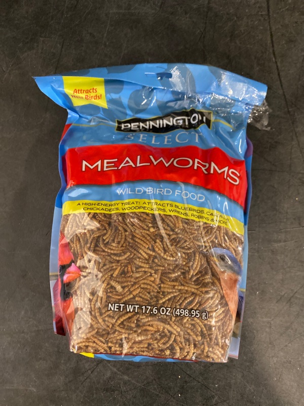 Photo 2 of Pennington Select Mealworms Bluebird and Wild Bird Food 17.6 Oz. Bag 1 Pack Dry