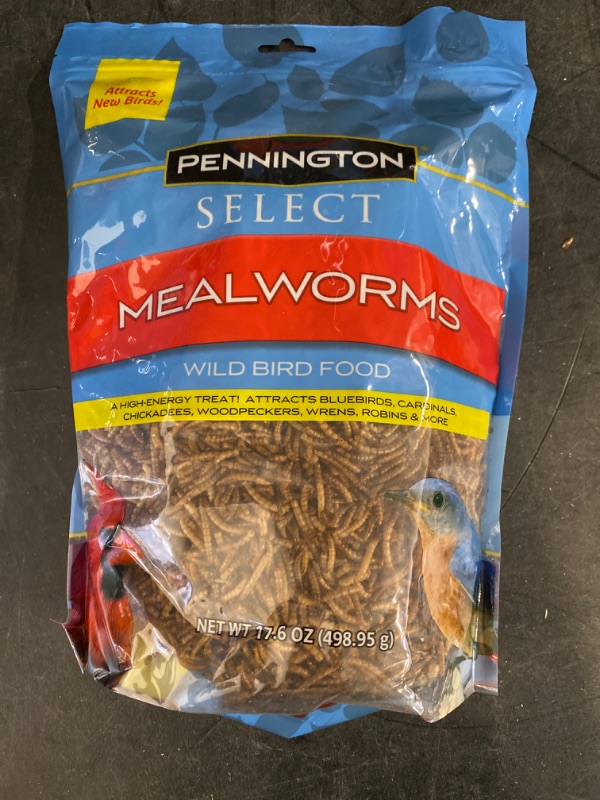 Photo 2 of Pennington Select Mealworms Bluebird and Wild Bird Food 17.6 Oz. Bag 1 Pack Dry