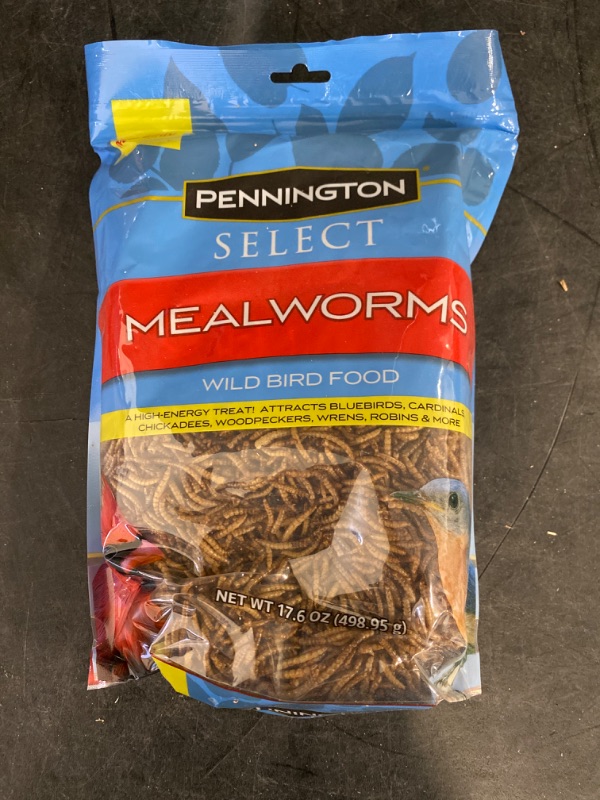 Photo 2 of Pennington Select Mealworms Bluebird and Wild Bird Food 17.6 Oz. Bag 1 Pack Dry