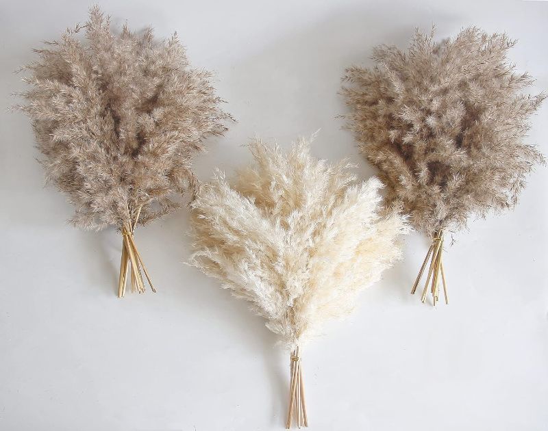 Photo 1 of 30 PCS Boho Decor, Fluffy Pompas Grass, Natural Dry Pampas Grass Small, Short Pampass Bulk for Boho Room Decor, Coffee Table Decor (17 inch )