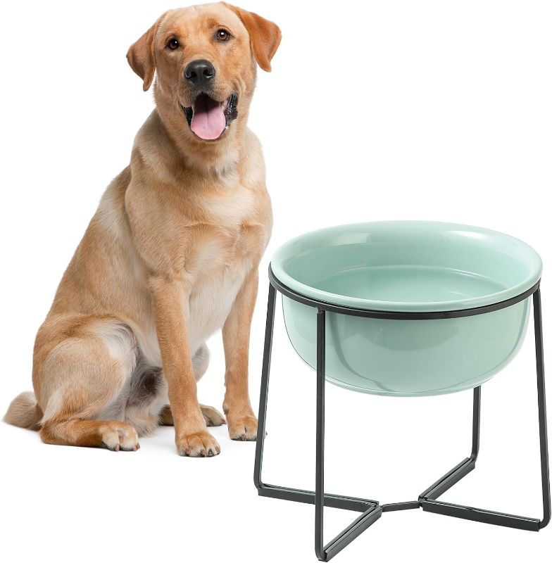Photo 1 of Elevated Large Dog Food Bowls - Raised Dog Bowl with Non Slip Stand - Heavy Weighted Ceramic Dog Feeding Bowl - Extra Wide Deep Dog Water Bowl - Pet Dishes for Medium to Big Dogs - 54 oz - 7 Cups