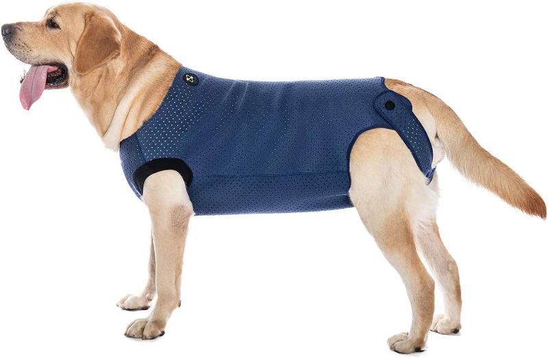 Photo 1 of COODEO Dog Surgery Recovery Suit, Waterproof Recovery Suit for Dogs, Surgery Suit for Wounds Protect, Cone Alternative After Surgery, Dog Onesie for Surgery Female or Male (Blue, L)