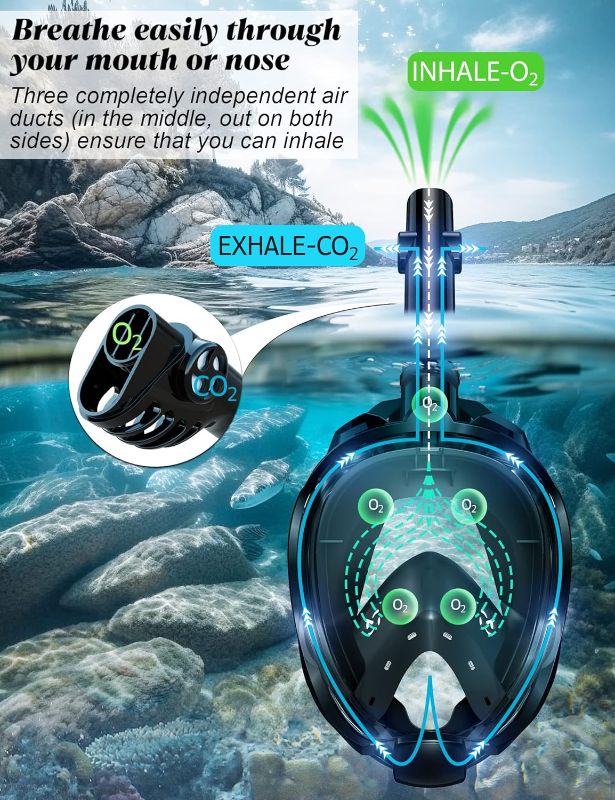 Photo 3 of L/XL W WSTOO Full Face Snorkel Mask,Snorkeling Gear for Adults to Breathe Through Mouth or Nose,180 Degree Panoramic View,Anti-Fog Anti-Leak with Camera Mount,Best Gift for Summer Holiday Travelers
