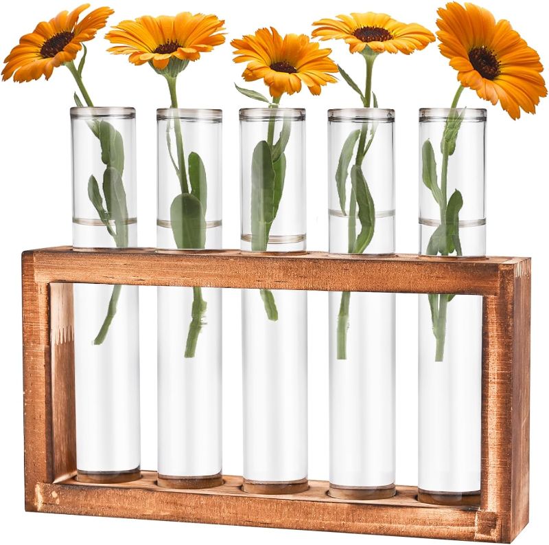 Photo 1 of 1 Desktop Glass Plant Propagation Station with 5 Test Tubes in Wooden Stand - Hydroponic Plants Cutting Office Home Decoration and Garden Decor Terrarium