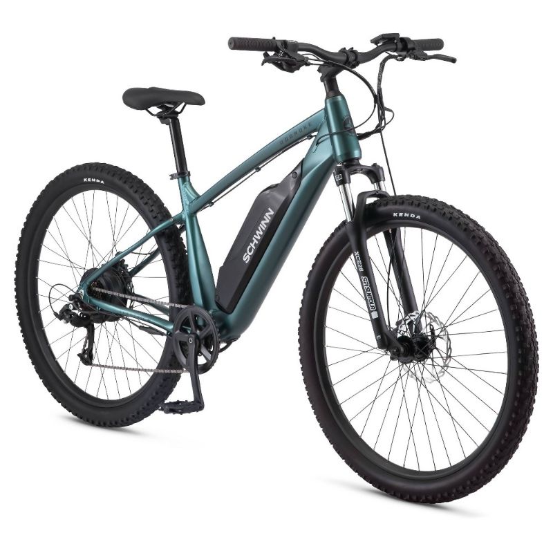 Photo 1 of Schwinn Roanoke 29" Adult Step Over Electric Mountain Bike - Teal