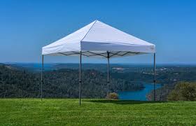 Photo 1 of 10x10 canopy