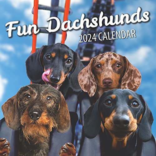 Photo 1 of 2pc Fun Dachshunds Dog Wall Calendar 2024 - Large Family Planner & Daily Organizer with Monthly Cute Dog Images - Slim Design 2024 Wall Planner & Dog Love
