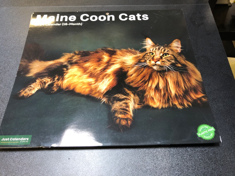 Photo 2 of 2024 Maine Coon Cats & Kittens - Deluxe Wall Calendar by Just Calendars - 16 Month - Plastic Free