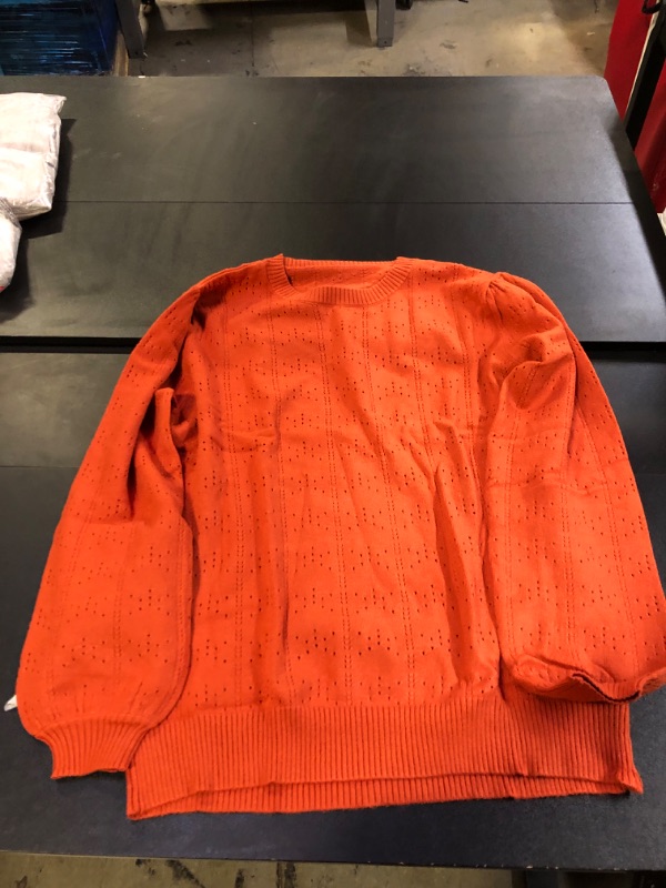 Photo 1 of Brick Red Knit Sweater, Size XL