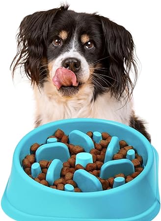 Photo 1 of Non-Slip Slow Feeder Dog Bowl |   Anti-Choke Design | Promote Healthier Eating Habits for Your Dog's Mealtime