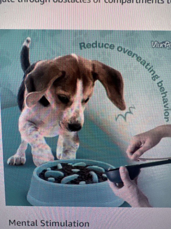 Photo 3 of Non-Slip Slow Feeder Dog Bowl |   Anti-Choke Design | Promote Healthier Eating Habits for Your Dog's Mealtime
