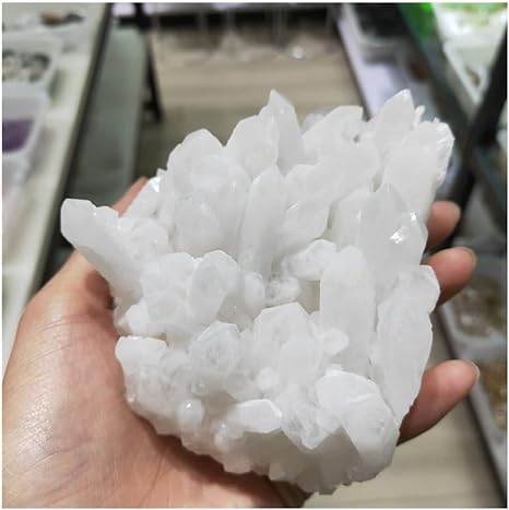 Photo 1 of 
Roll over image to zoom in





FENRIZ Natural Clear Rock Quartz Crystal Chrysanthemum Cluster White Crystal Point Geode Reiki Home Decor Gift 1pcs Suitable for Home (Size : 500-600g)