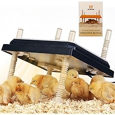 Photo 1 of Brooder Heater for Chicks: Chick Brooder Heating Plate with Easy- Cleaning Plate Poultry Coop Heater Chicks Warmer 10" x 10" for 15 Chicks Adjustable Height Brooding Heater 15 Watts