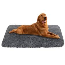 Photo 1 of Pawnoc Calming Dog Bed, Premium Ultra Soft Plush Dog Crate Mat for Floor, Car, Couch, Bed, Dog Bed for Couch, Washable Large/Medium Dog Bed Ideal for Napping, Lounging