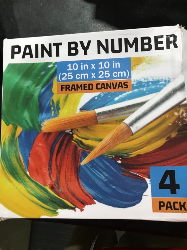 Photo 1 of 4 pack Paint By Numbers 