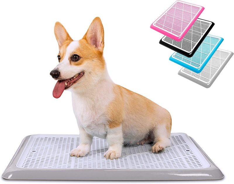 Photo 1 of Pet Awesome Dog Potty Tray/Puppy Pee Pad Holder 25”x20” Indoor Wee Training for Small and Medium Dogs