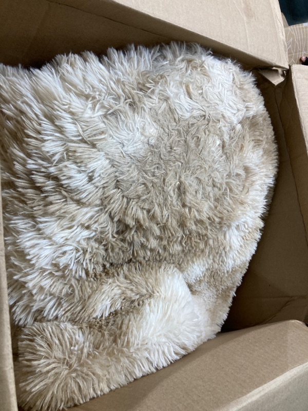 Photo 2 of ***VERY DIRTY*** Arbosofe Area Rugs for Living Room Bedroom, 5X8 ft Beige Fluffy Fuzzy Shag Small Carpet Soft Plush Furry Clearance Rug, Cute Rugs for Nursery, Playroom, Kids and Girls Room 5 Feet x 8 Feet Beige