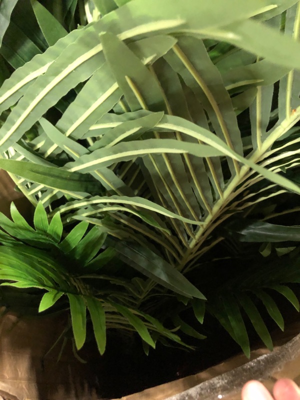 Photo 1 of 2 Pack Artificial Areca Palm Tree Plant, 6 Feet Fake Palm Tree for Indoor Outdoor Modern Decoration Faux Dypsis Lutescens Plants in Pot for Home Office Decor