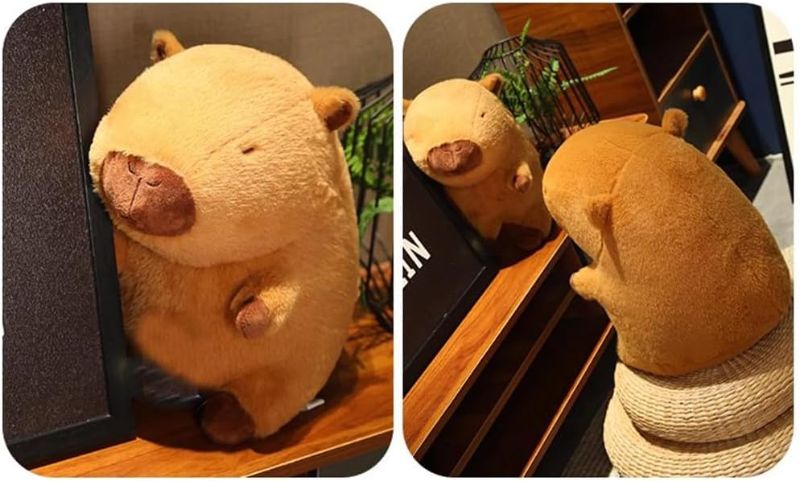 Photo 1 of 12inch Cute Capybara Plush, Capybara Stuffed Animal Soft Capybara Plushies Toy Capybara Doll Pillow Birthday for Kids (no Bag)
Brand: EASELR