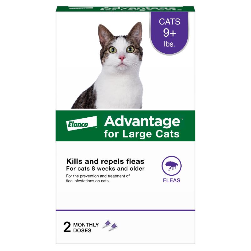 Photo 1 of Advantage Topical Flea Prevention for Large Cats 9 Lbs+ 2-Monthly Treatments
