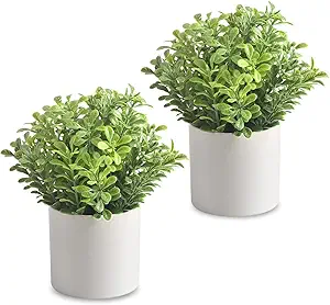 Photo 1 of homEdge Artificial Mini Potted Boxwood, Artificial Plastic Plant Greenery with Pot for Home, Office Desk Decoration