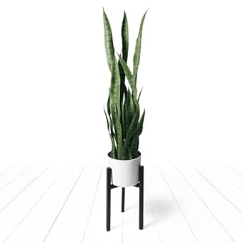 Photo 1 of flybold Fake Snake Plant Faux Snake Plant,Large Faux Sansevieria Plant Artificial with 28 Tall Leaves Thick Durable Pot for Indoor Modern Decor Mother in Law Tongue Plant (Green, 36 Inch)